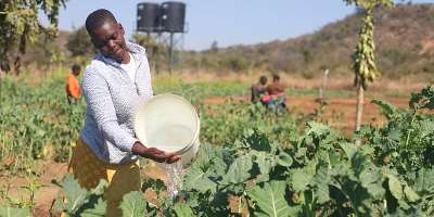Mutekwatekwa community garden in Mutare, Zimbabwe, is shared by 50 farmers, including 32-year-old Berita Numbi. -  Farai Shawn Matiashe