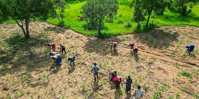 Four ideas that can help Ghana preserve food security when the next drought hits