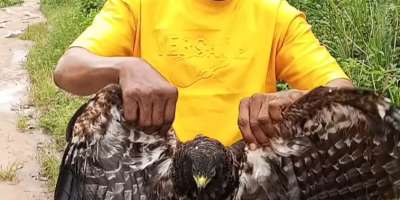 Pastors, Hawks, and Witch Hunts in Akwa Ibom