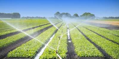Rethinking Irrigation in Ghana: Ahiabor’s Underground Water Solution for Year-Round Agriculture