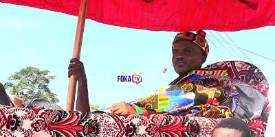 Nana Ateko Antwi iii Rides in Palanquin at Kamenaman Yam Festival 2026, Steals Show at Grand Durbar