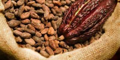 Ghana Has Announced Its 2026/27 Cocoa Producer Price. How Does It Compare With My Forecast?