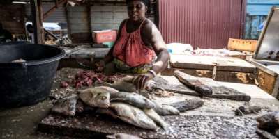 Sirah Darboe-Manneh, 31, a fishmonger and mother of six, cleans fish in Tanji, The Gambia. By MUHAMADOU BITTAYE (AFP)
