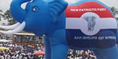 All Patriots Are Qualified To Contest NPP Primaries—NPP Italy
