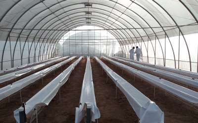 Hydroponic System Of Greenhouse Farm Opens In Sunyani