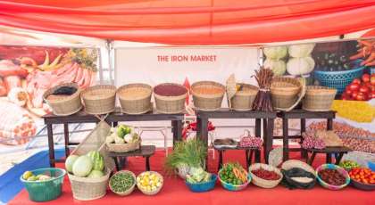 How A Random Trip To James Town Opened My Eyes On The Impact Of Iron Deficiency