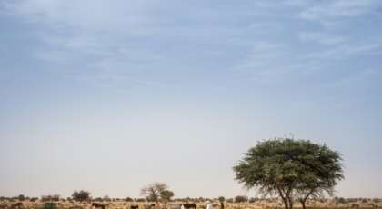 Eastern Chad is in the grip of a cycle of violence between nomadic camel herders -- many from the Zaghawa ethnic group from which President Deby hails -- and sedentary farmers from the Ouaddian community. By Amaury HAUCHARD (AFP/File)