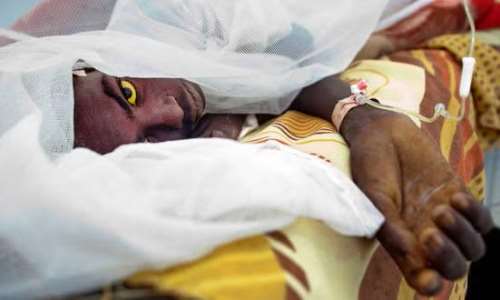 Builsa South intensifies surveillance amid Yellow Fever outbreak in Upper West
