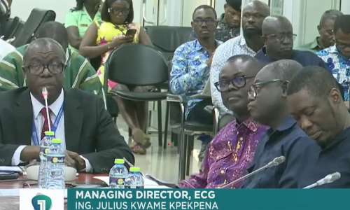 ECG losses come under heavy scrutiny as PAC questions management on financial sustainability
