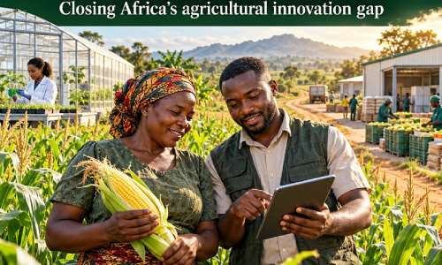 From Research Stations to Farmers’ Fields: Africa Must Close Its Agricultural Innovation Gap