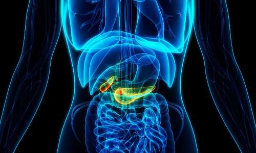 Pancreatic cancer: Causes, Symptoms & Treatment