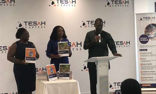 Tesah Capital launches digital hub to provide convenience for clients; introduces two CIS products