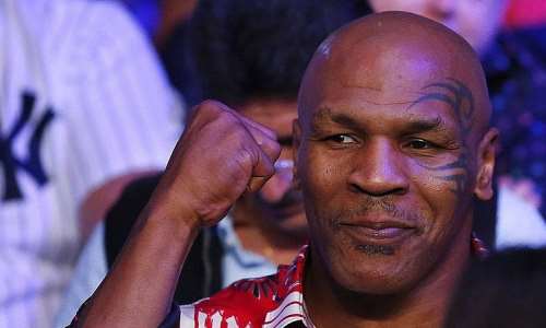 The former boxer runs a multi-million dollar cannabis business in the United States