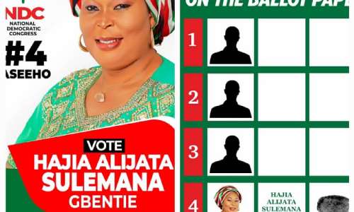 NDC needs to mobilise more women for 2024 victory — Alijata Sulemana