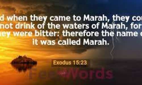 The Lord says He will restore you