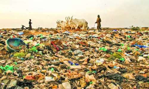 Interview Transcript: Inside the Fight Against Soil Pollution