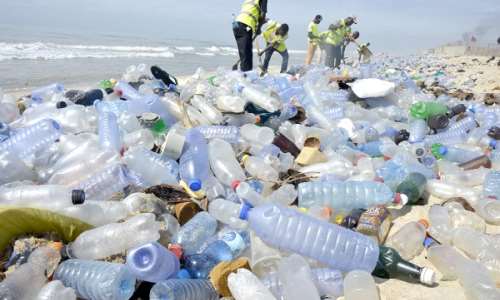 Recycling is one sustainable solution to curbing plastic waste – Petroleum Expert