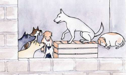 Dogs On Strike