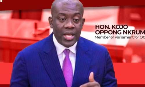 NPPs newly constituted committees will strengthen policy development, marketability — Oppong Nkrumah