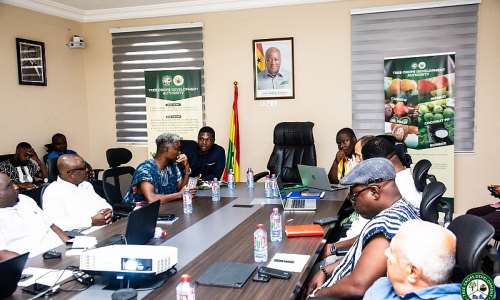 TCDAsets GH¢5.22 mango producer pricefor 2026season