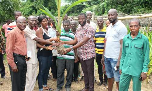 Farmers in Adansi Akrofuom receive 10,000 coconut seedlings