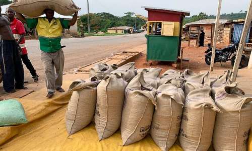 Cocoa farmers to continue receiving GH¢2,587 per bag in 2026 light crop season — COCOBOD