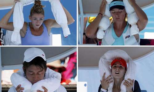 Tennis players Camila Giorgi of Italy (top L), Maria Sharapova of Russia (top R), Kei Nishikori of Japan (bottom L) and Alize Cornet of France (bottom R) use ice-packed towels to cool off at the 2014 Australian Open. -  REUTERS/Bobby Yip/David Gray/Petar
