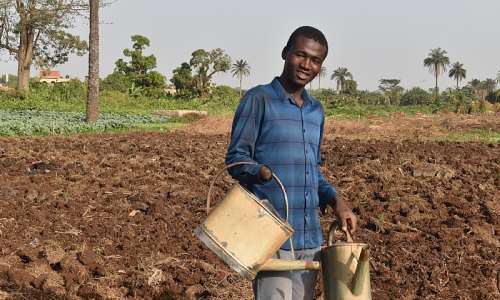 Aboubakar, 18, waters crops alongside his father on the family farm in Djougou as he rebuilds his life through agriculture after returning home. Photo: IOM/Rodrigue Combey Komla Fumey