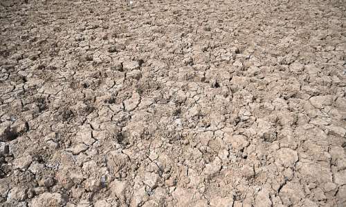 Women at the Frontline of Climate Change