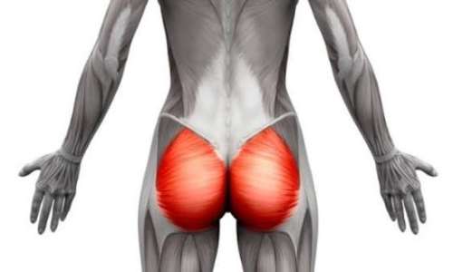 Prolonged Sitting, Genetics, And Low Gluteal Muscle Mass: Key Reasons For Flat Buttocks