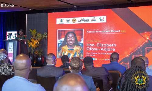 Trade Minister urges investors to partner local businesses, use Ghanaian inputs
