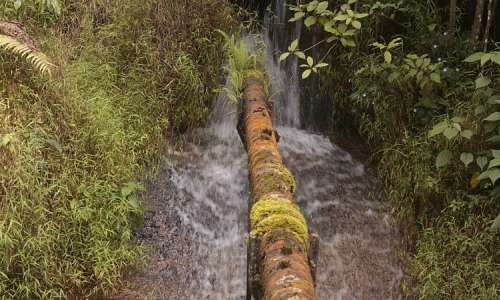 © Wikimedia/CC/Atabong Armstrong