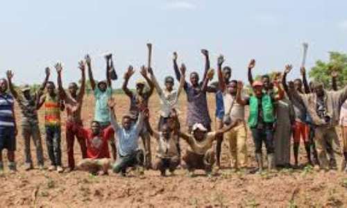 Farmers in the transition landscape call on stakeholders to intervene in food production and marketing