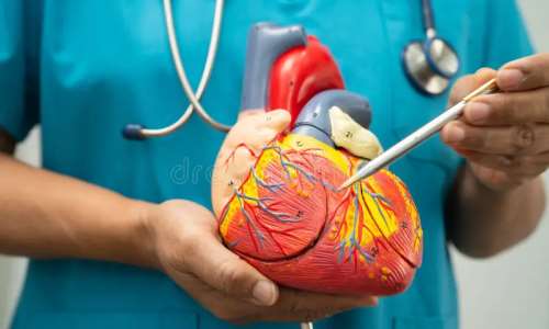 Cardiovascular diseases: Here are the foods and lifestyles young people must avoid— Physician Specialist advises