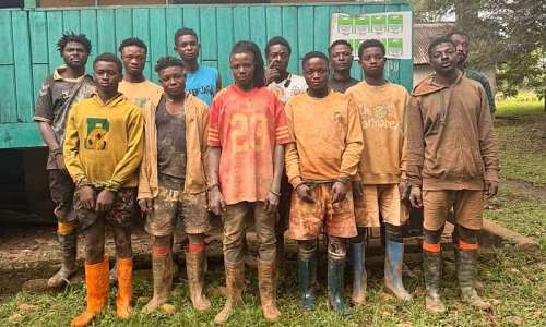 Forestry Commission grabs 12 illegal miners in Atewa Forest