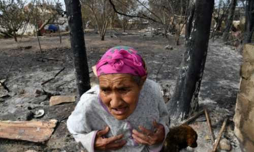 An elderly Algerian woman outside her home, destroyed in a wildfire in the city of el-Kala in August last year. By - AFPFile