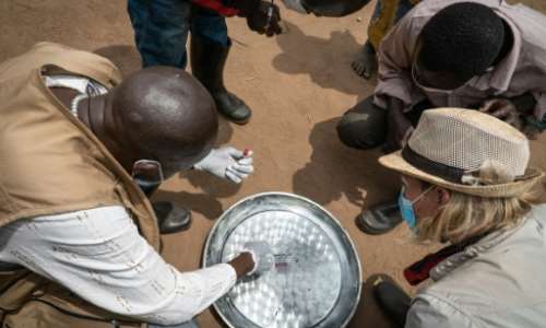 An expert team inspects flea traps, set up to confirm whether or not the insects are carrying the plague. By Caroline Thirion (AFP)