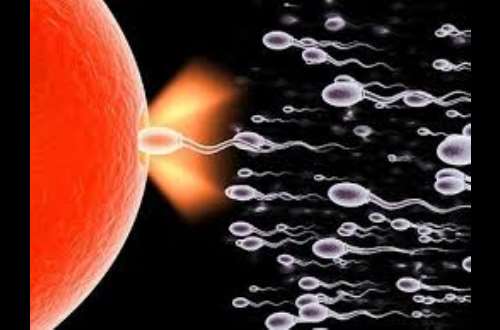 Tips for Getting Pregnant with a Low Sperm Count