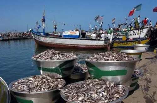 Fisherfolk protests intended extension of closed season