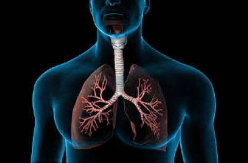Respiratory health maintenance