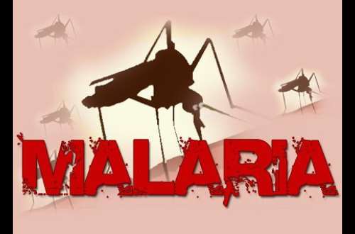 Remembering Malaria In COVID-19 World