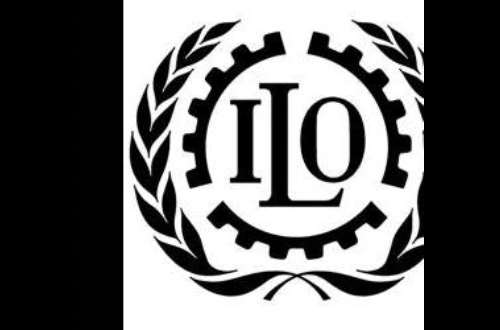 ILO / Logo by Edition Design on Dribbble