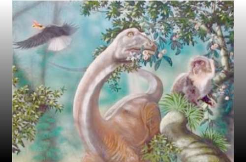 Alleged Living Dinosaur Mokele-Mbembe Sound Recording 