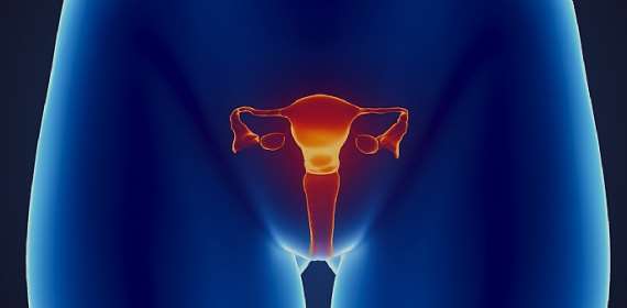 Regular screening is vital for curbing cervical cancer deaths