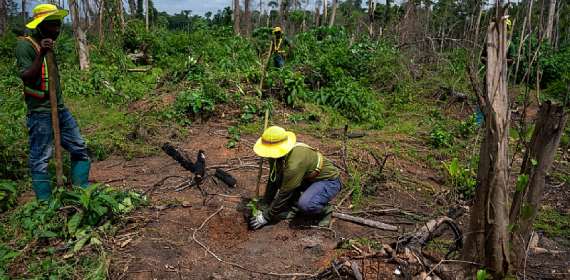 Beyond Aid: How Africa can weather global funding cuts