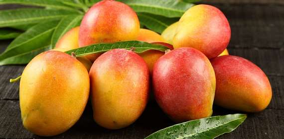 Mango samples examined so far don't contain calcium carbide —