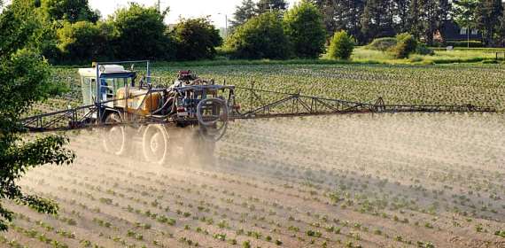 Experts weed out flaws in Frances revamped plan to cut pesticides