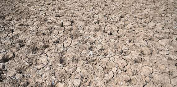 Women at the Frontline of Climate Change