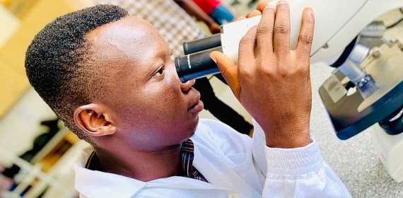 Ghanaian research uncovers cancer fighting potential in common backyard plan