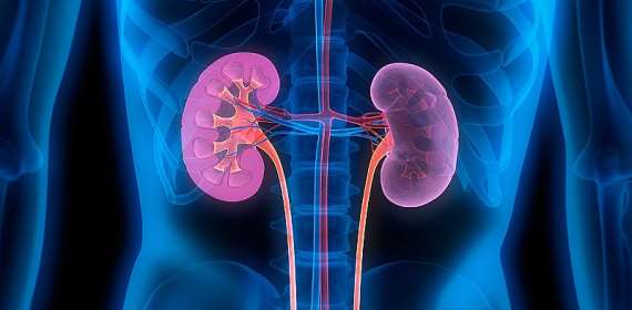 Take Control of Your Kidney Health During March Health Awareness